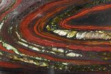 Polished Tiger Iron Stromatolite - ( Billion Years) #92975-1